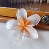 Europa y Estados Unidos horquilla bauhinia color perla transfronteriza flor degradada clip tiburón al mismo tiempo en el plato horquilla para el cabello flores grandes