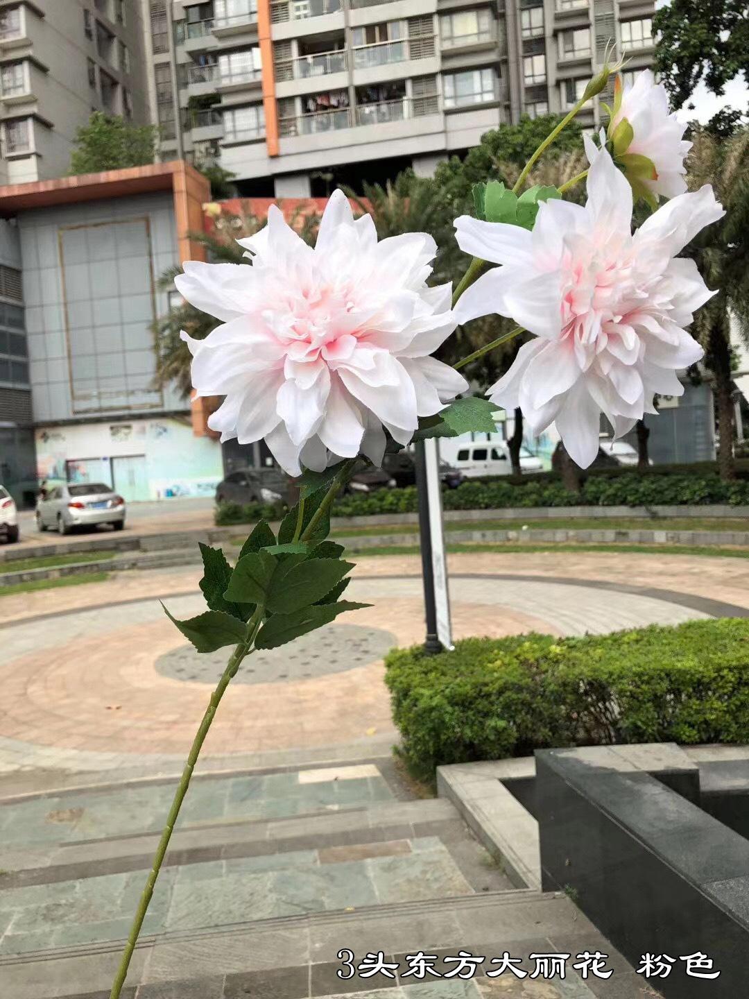 微信图片_20201020173917.jpg