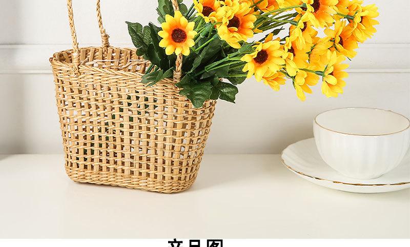 二十四头太阳花_05