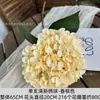 Flores Artificiales Color Champán para Bodas al Aire Libre, Decoraciones de Fondo de Boda, Adornos para Sala de Estar en Casa, de Alta Gama y Realistas