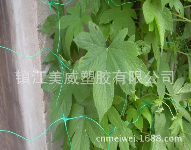 QQ图片20140224222719