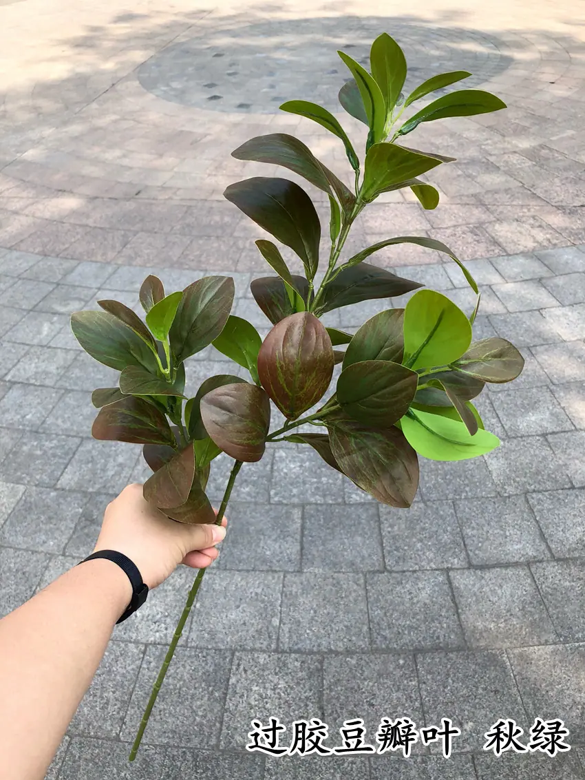 1-1_副本.jpg