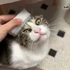Pente Suave em Formato de Língua de Gato - Imitando a Língua de uma Gata Mãe, Proporcionando uma Ferramenta Confortável para Higiene de Animais de Estimação