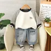 Conjunto Casual de 2 Peças com Estampa de Elefante de Desenho Animado para Meninos 2025 Novo Gola Redonda Manga Longa Roupa de Bebê Estilosa para Outono Moletom Tendência