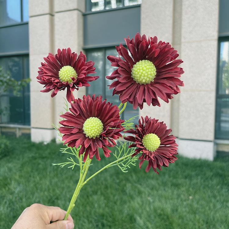 4头单支虫草花-sxwlx-红色.JPG