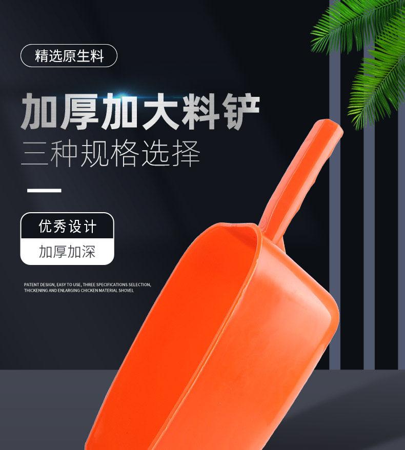 详情页_01.jpg