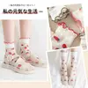 Calcetines para mujer de primavera y verano, calcetines finos de tubo, medias de cristal de cristal, calcetines japoneses blancos de encaje y felpa, venta al por mayor
