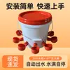Bebedouro automático para frangos artefato de beber para pintinhos comedouro de água para patos comedouro de água para aves de criação tigela de beber para frangos