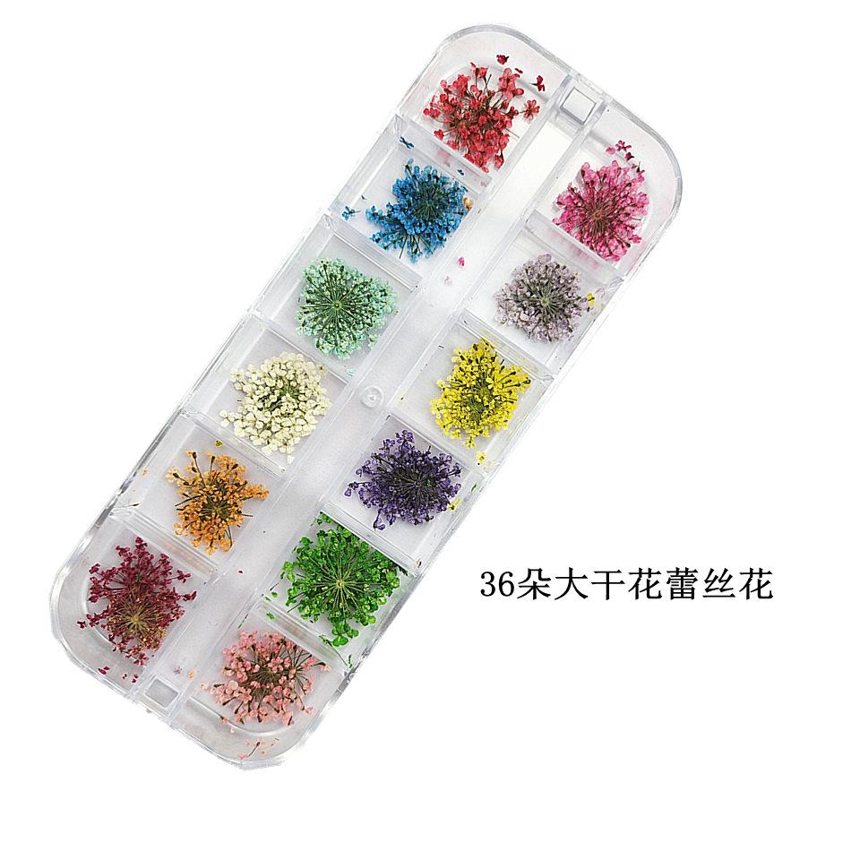 36朵大干花