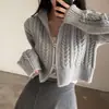 Chaqueta Suéter de Punto Trenzado con Doble Cremallera Estilo Coreano INS Otoño/Invierno 2026 Nuevo Vintage Chic Estudiante para Mujer