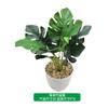 Simulação de Planta de Folha de Tartaruga Real Decoração de Folha Verde Decoração de Casa Simulação de Tartaruga Bambu Vaso de Flores Vaso de Plantas Paisagem