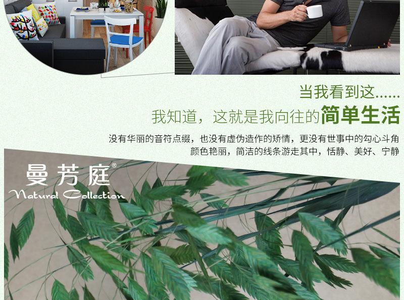 小盼花