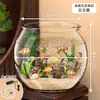 Tanque de Peces Transparente Grande para Escritorio, Tanque Espesado para Tortugas, Tanque para Peces Dorados, Acuario de Plástico Hidropónico Anticaídas para Sala de Estar, Tanque Ecológico para Paisajismo