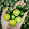 Tienda de té de leche de kumquat pequeño de Hainan limones verdes pequeños de piel fina, kumquats verdes ácidos, frutas de temporada al por mayor por caja