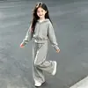 Conjunto deportivo de primavera y otoño para niñas, nueva colección 2026, sudadera lisa y pantalones de chándal para niñas mayores, atuendo de otoño simple y casual para niños