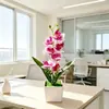 Bonsai de orquídea Phalaenopsis artificial de folha pontuda com 8 flores, 6,5CM, ornamento criativo para decoração de casa, planta verde de flor artificial com toque realista, planta em vaso