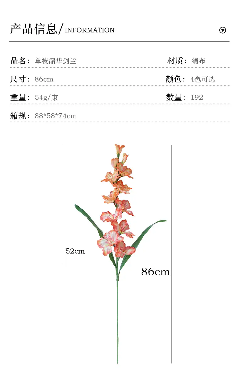 单枝韶华剑兰_03.jpg