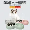Tazón doble grande para perros y gatos, dispensador automático de agua, tazón de comida dos en uno, engrosado, adecuado para perros pequeños y medianos, suministros para gatos