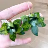 Brincos Exagerados em Forma de Pétala Estilo Francês com Design Vintage, Brincos Florais para Mulheres com Toque de Luxo, Acessórios de Orelha Florais Transfronteiriços