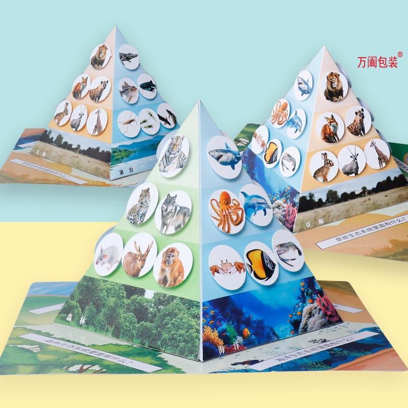 儿童玩具科学实验食物链金字塔手工diy科技小制作生物纸盒批发