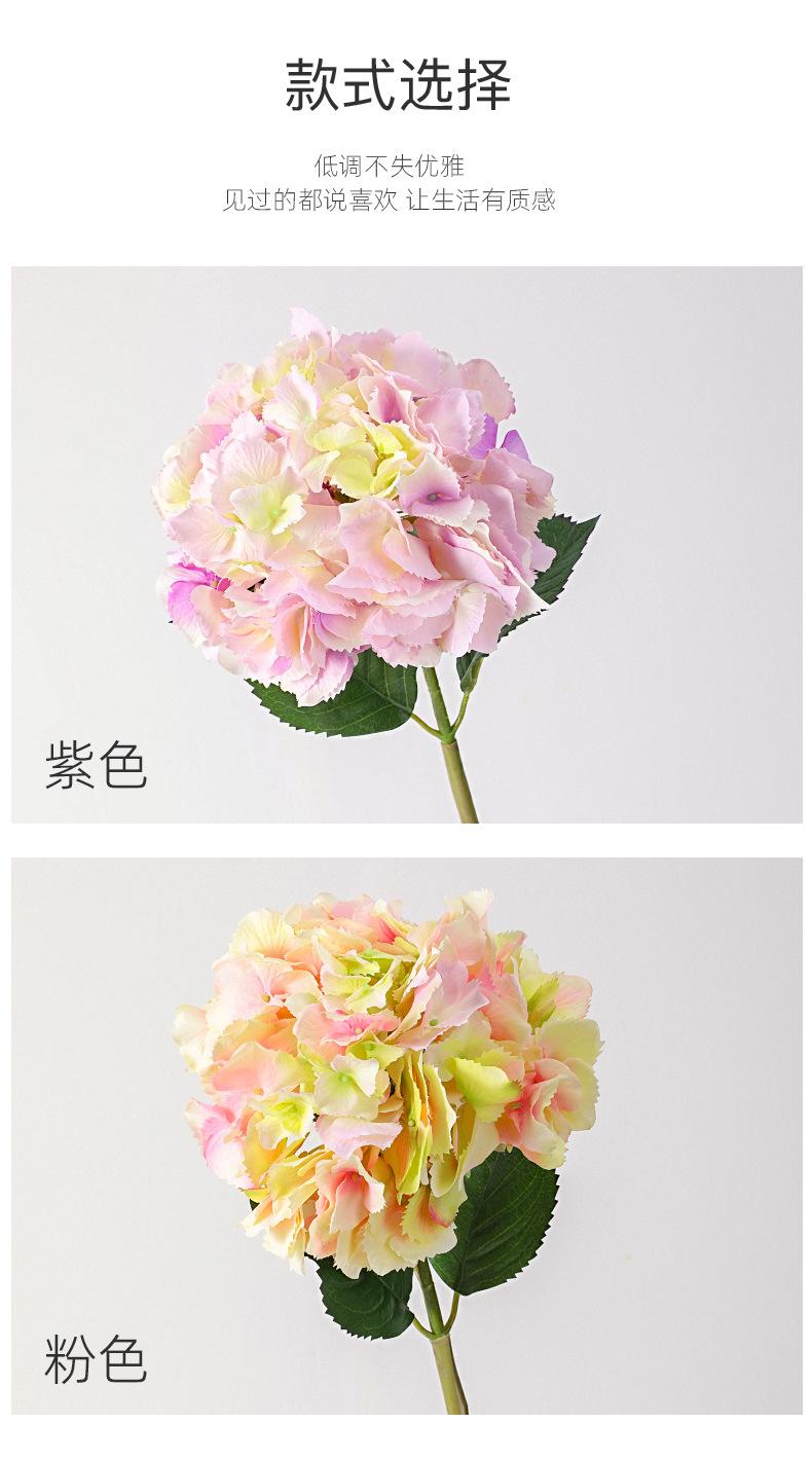 详情_05.jpg