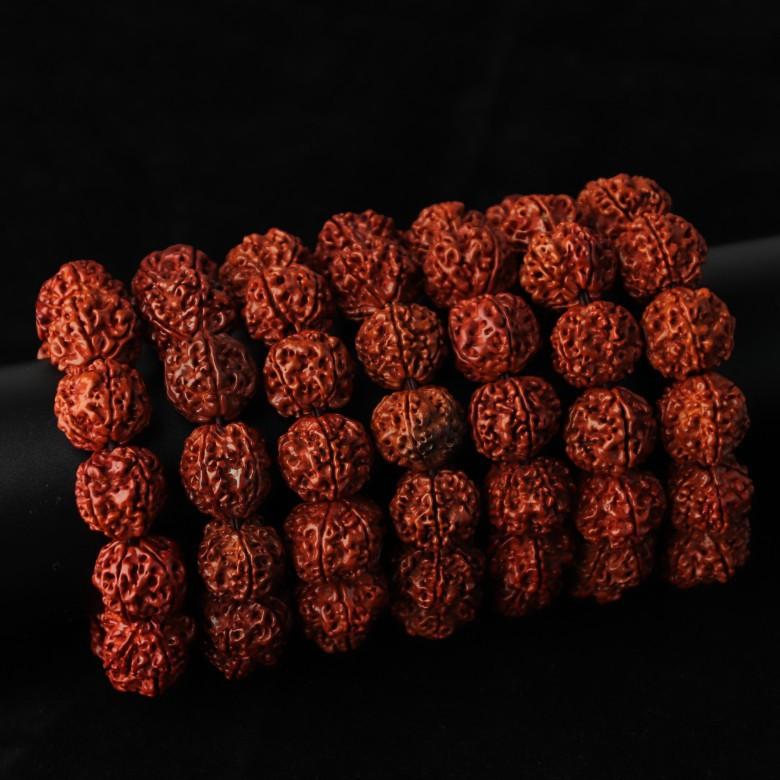 gWmWivOiz9St5Ja3ZAYwYF5Vr/WSIhpMUZqo