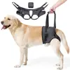 Arnês de Reabilitação para Cães Amazon, Auxílio para Caminhada para Cães Idosos, Retrátil, para Cães Médios e Grandes, Suprimentos para Pets em Estoque