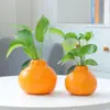 Vaso de flor hidropônico criativo de planta verde cultivada em água laranja para sala de estar, mesa de escritório, decoração de mesa de escritório, ornamento, vaso, arranjo de flores, cultivo em água