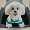 Roupas para Pet Verão Camisa Polo Listrada Fina Filhote Pequeno Schnauzer Camiseta Roupas para Cachorro Marca de Roupas Tendência
