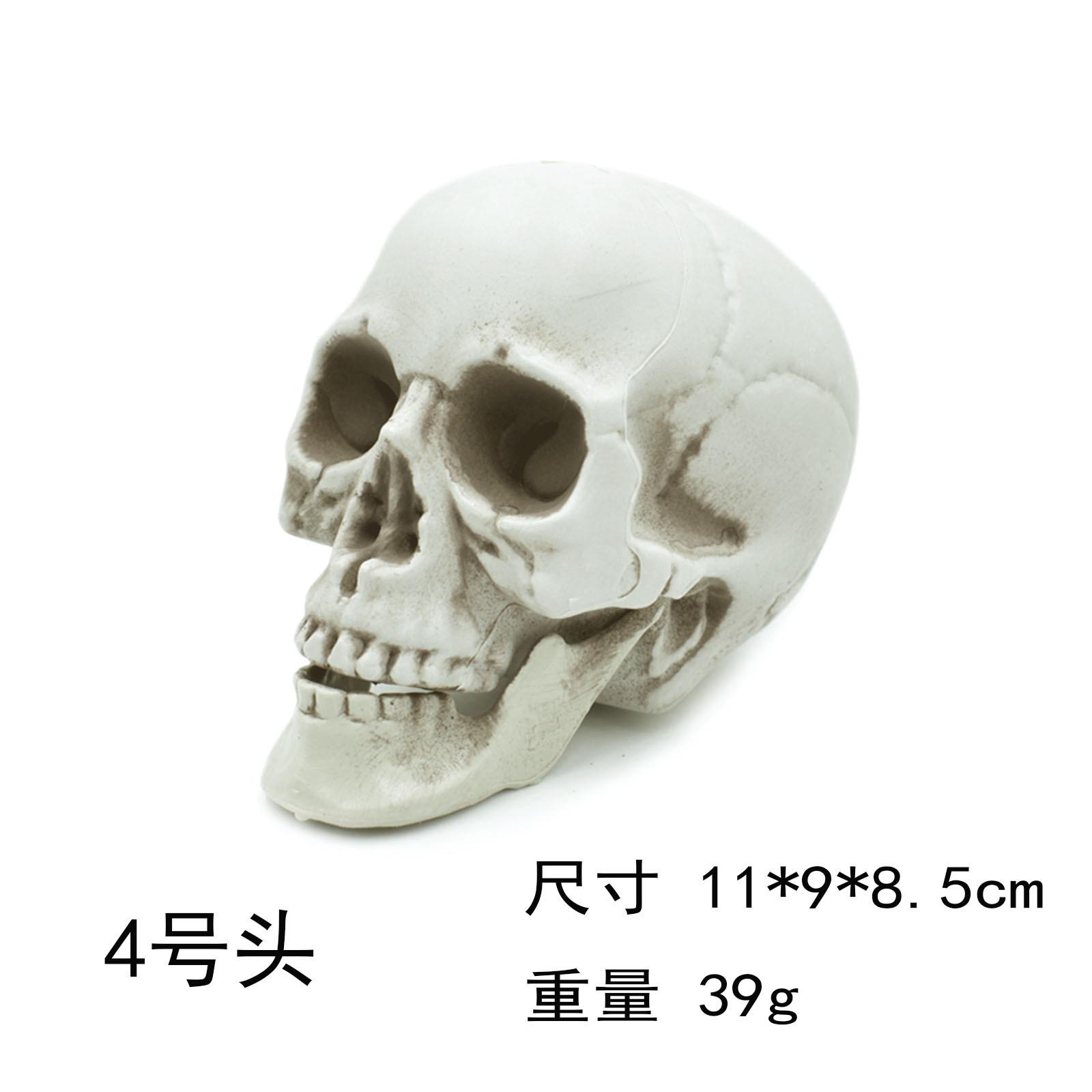 4号头