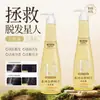 Shampoo Extrato de Bétula Branca Ant Queda e Fortalecedor de Cabelos, Fortalece as Raízes, Deixa os Cabelos Volumosos, Deixa um Aroma Fragrante, Remove a Caspa, Venda Direta do Fabricante