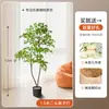 Planta de simulación Nandina domestica de pie en maceta para interior, grande, biónica, verde, adornos, sala de estar, lujo ligero, flor decorativa, árbol falso