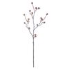 Flor seca artificial con linterna de escarcha flor de hibisco rama seca flor concha decoración de viento silencioso B & B decoración suave decoración de paisaje