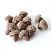 Casca de fruta faça você mesmo, pinha, lascas de madeira, folhas, flores secas, combinação de frutas secas, decoração de natal, decoração de jardim de infância, adereços retrô