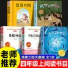 Set completo de 5 libros: Isla Delfín Azul, un libro extracurricular de lectura obligatoria para cuarto grado, primer semestre, recomendado por los maestros, lista de libros auténtica