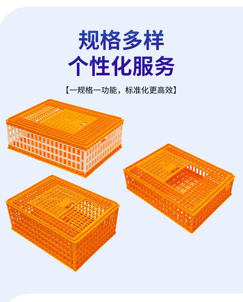 详情_08.jpg