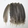 Venda Direta de Fábrica de Quase 100 Tipos de Acessórios Naturais de Penas Pequenas para Joias DIY, Acessórios de Cabeça, Broches, Chapéus, Materiais de Decoração para Artesanato