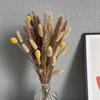 Flor seca Pó de junco Buquê de junco flor seca DIY secagem em decoração para casa ornamentos pequeno junco nórdico transfronteiriço
