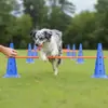 Equipo de Entrenamiento de Agility para Perros Cono Barril Obstáculo Vallas Reunión Deportiva Salto Ejercicio Físico Equipo Marcador Palo Border Collie