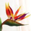 Producto Nuevo Directo de Fábrica Flor Artificial de Alta Gama Flor Artificial Ave del Paraíso Individual Venta al por Mayor Flor Artificial Decoración para el Hogar