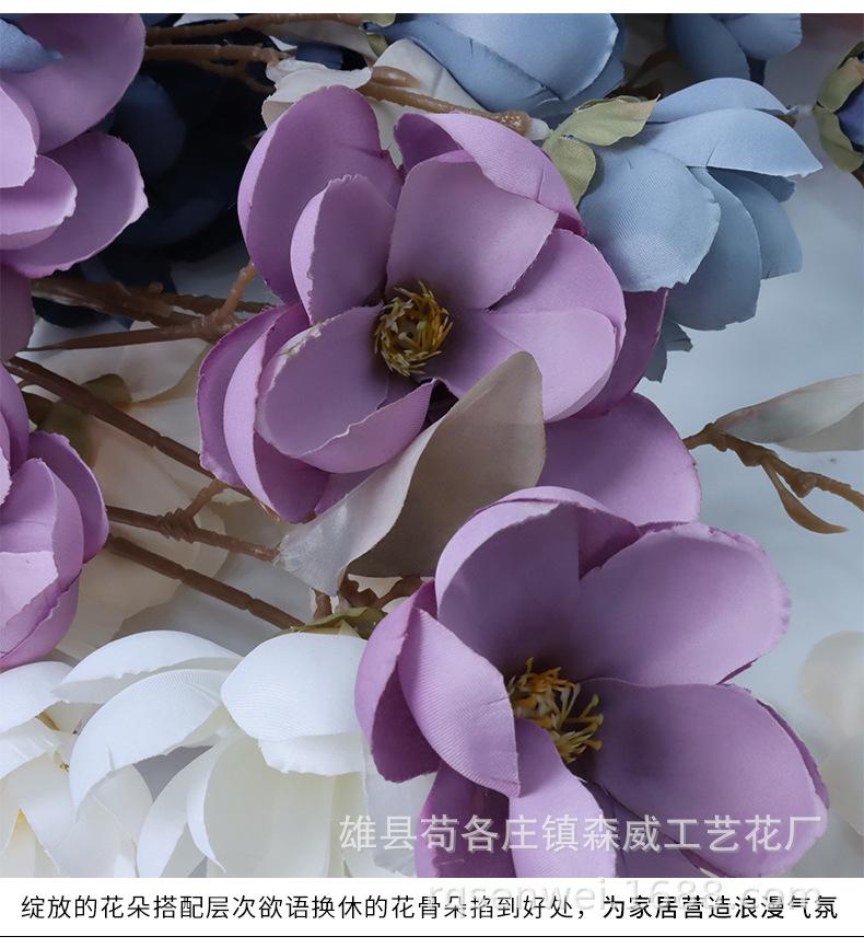 玉兰花_10.jpg