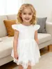 Vestido de Chiffon com Zíper para Meninas Sem Mangas Estilo Princesa Moda Verão Novo Amazon Ebay