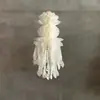Linterna Qingming Blanca Memorial Papel Maduro Linterna Blanca Asuntos Blancos Limpieza de Tumbas Qingming Colgando Tumba Flotante Funeral Loto Cola de Fénix