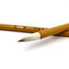 Zhongkai lobo oveja y pincel pintura china escritura regular práctica caligrafía para adultos estudio cuatro tesoros principiantes y pincel