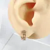 Pendientes de Cobre con Circonita en Forma de Anillo de Espiga de Trigo Hebilla de Oreja Pinza de Oreja para Mujer Lujo Accesible Estilo Ins Pendientes Accesorios de Joyería