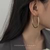 Celebridad de Internet Aretes Anillo Grande de Plata de Ley para Mujer 2025 Nuevo Estilo Explosivo Anillo Sencillo Sentido Avanzado Arete Anillo Circular Europeo y Americano Pendientes de Moda