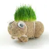 Muñecos de Paja Pequeños y Medianos de Yiwu, Muñecos de Cabeza de Paja, Juguetes Novedosos Trendy de Cultivo en Maceta para Sembrar Hierba