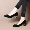 Zapatos Nuevos Primavera y Otoño 2025 para Mujer Dadong Princess, Punta Fina, Tacón Medio Grueso, Boca Baja, Zapatos de Piel de Ante para Madres