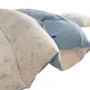 2026 Nueva Funda Nórdica Gruesa de Algodón Cepillado 100% Algodón para Cuatro Estaciones Uso en el Hogar Sábana Funda Nórdica Pieza Única Amigable con la Piel Cálida