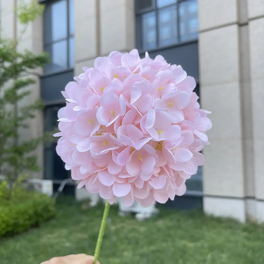 单支诗意棒棒糖绣球-wxzxdx-粉色.JPG